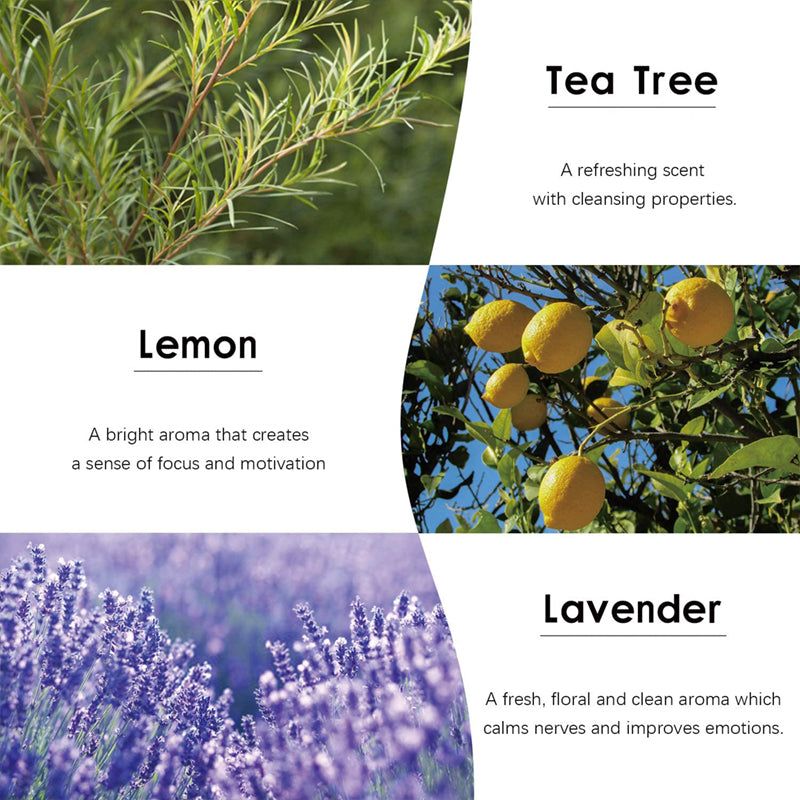 Plant Based Aromatherapy Essential Oil Box