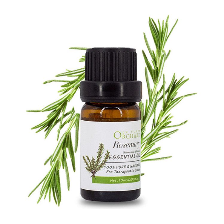 10 ml Single Aromatherapy Essential Oil