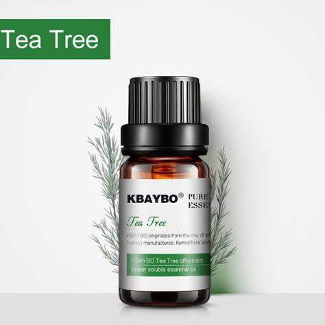 Aromatherapy USB Humidifiers & Herbal Essential Oils