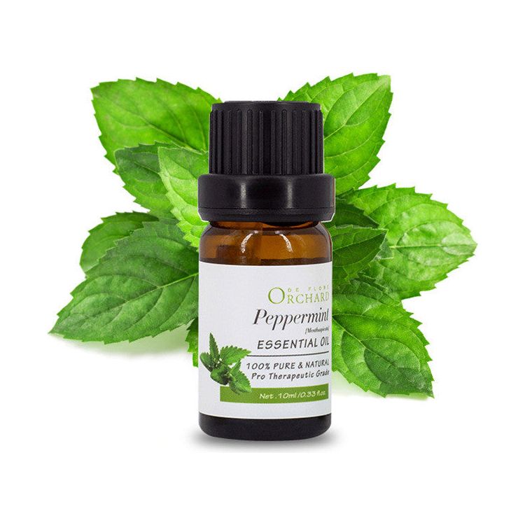 10 ml Single Aromatherapy Essential Oil