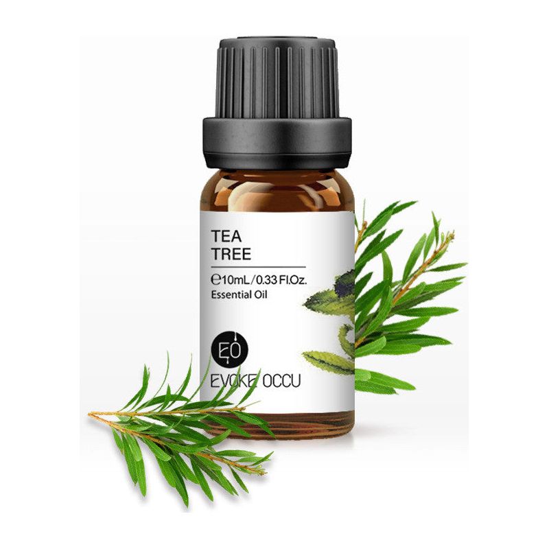 Plant Aroma Humidifier Essential Oil