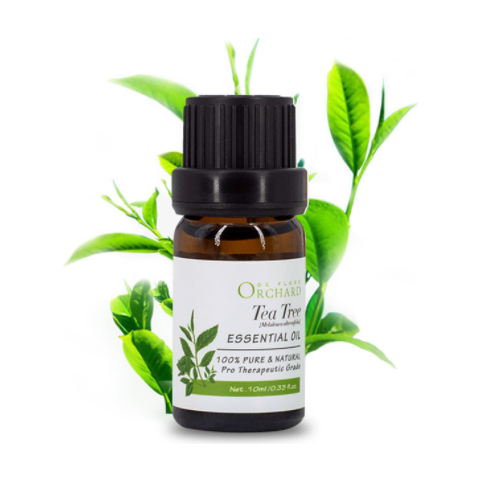 10 ml Single Aromatherapy Essential Oil