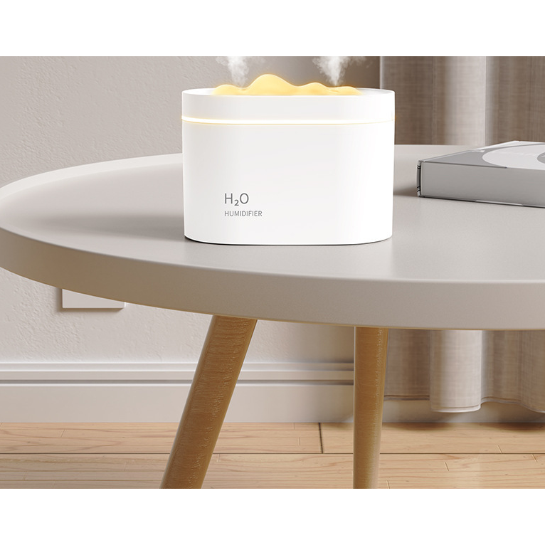 Dual Spray Humidifier