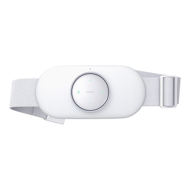 Red Light Therapy Intelligent Waist Massager